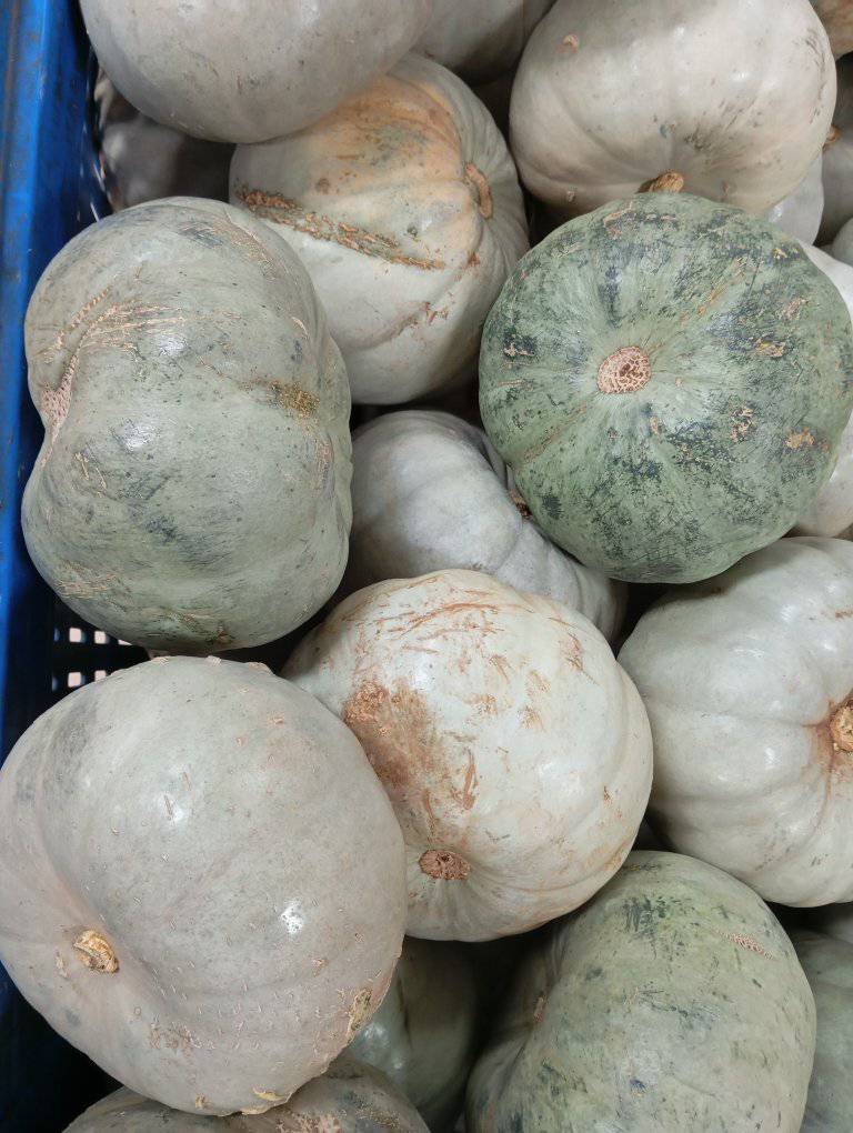 482986804_977186804518991_4586742781361630443_n