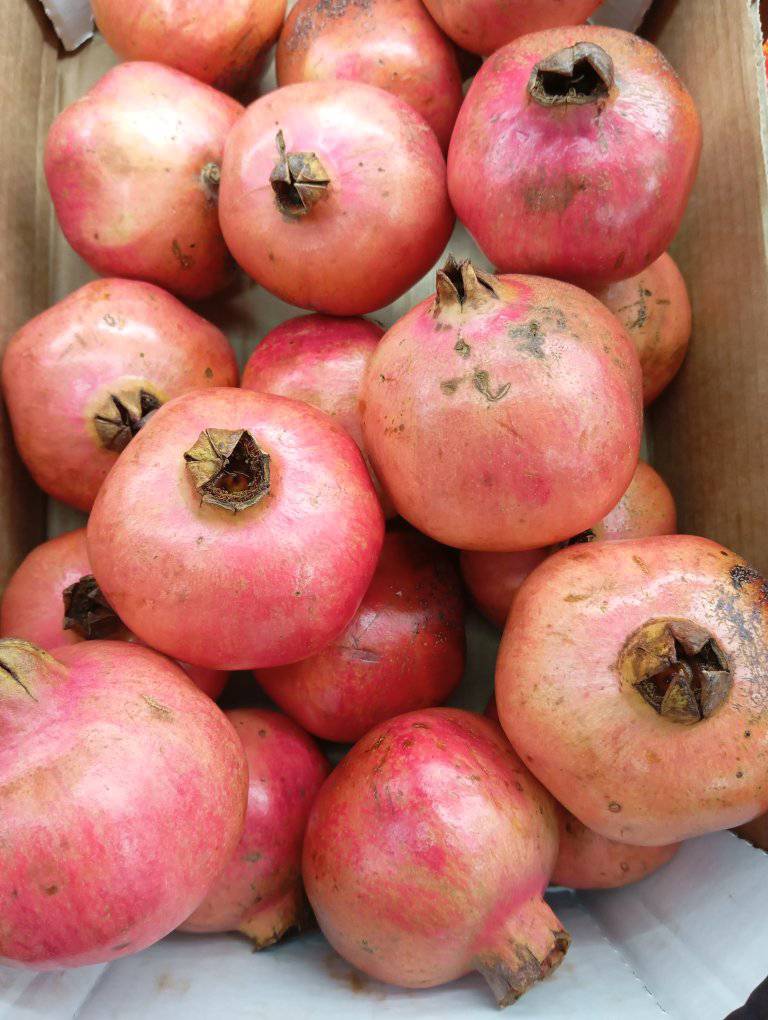 484127869_977047824532889_4042864529407162303_n