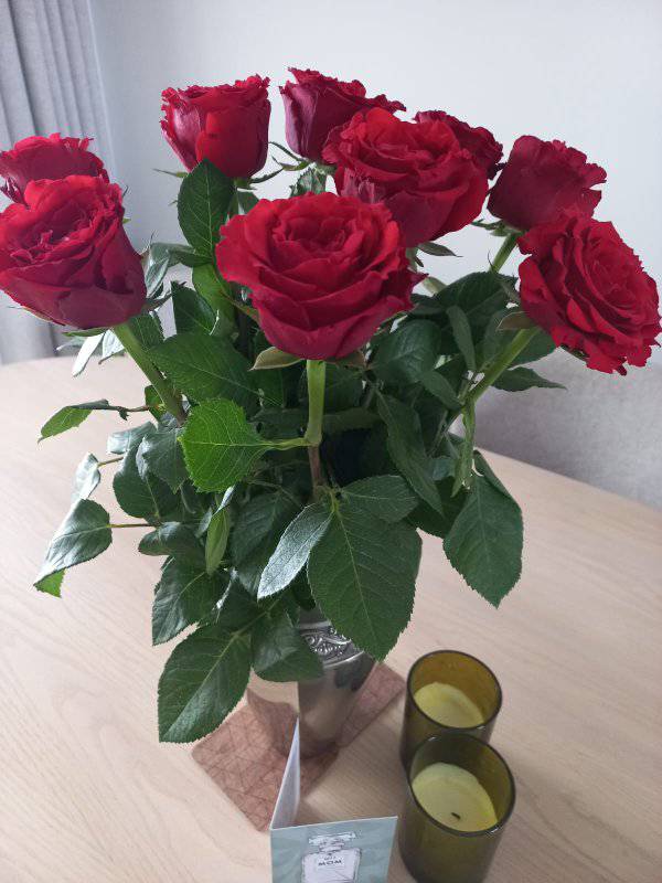 493579480_1026074756296862_3126608222142511921_n