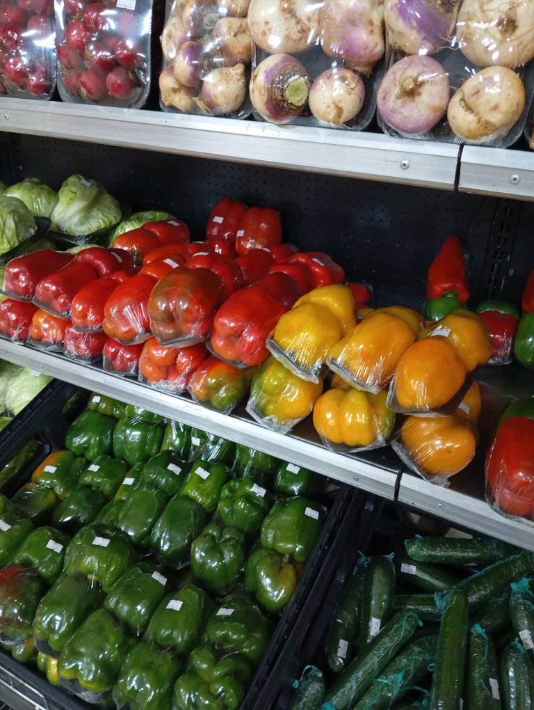 494383141_1041234221447582_7565574171672198761_n