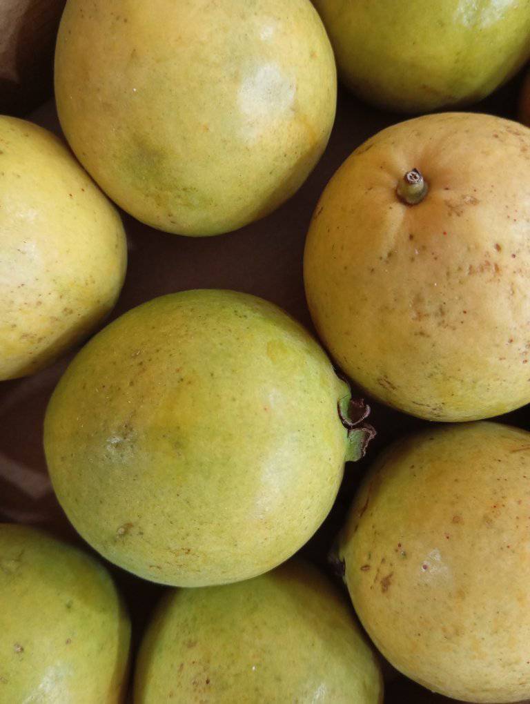 494927773_1026074829630188_1559544357538137382_n