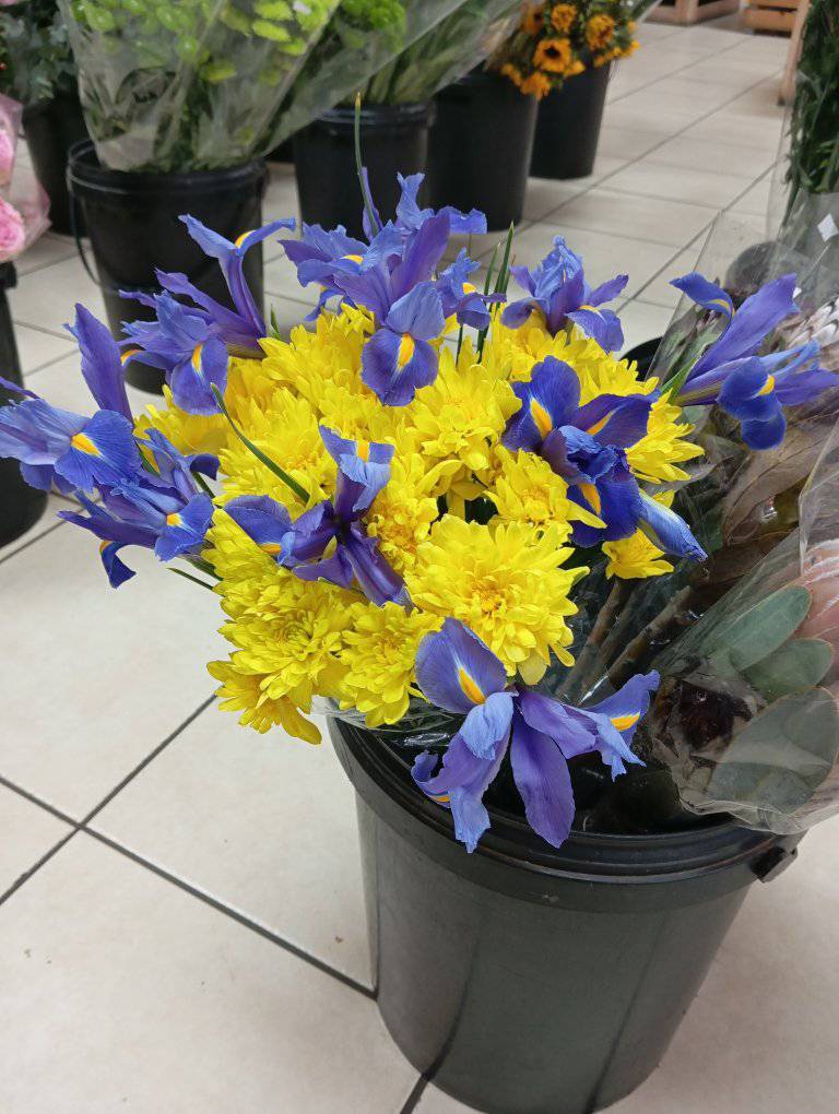 495312631_1045591404345197_7160024222803548751_n