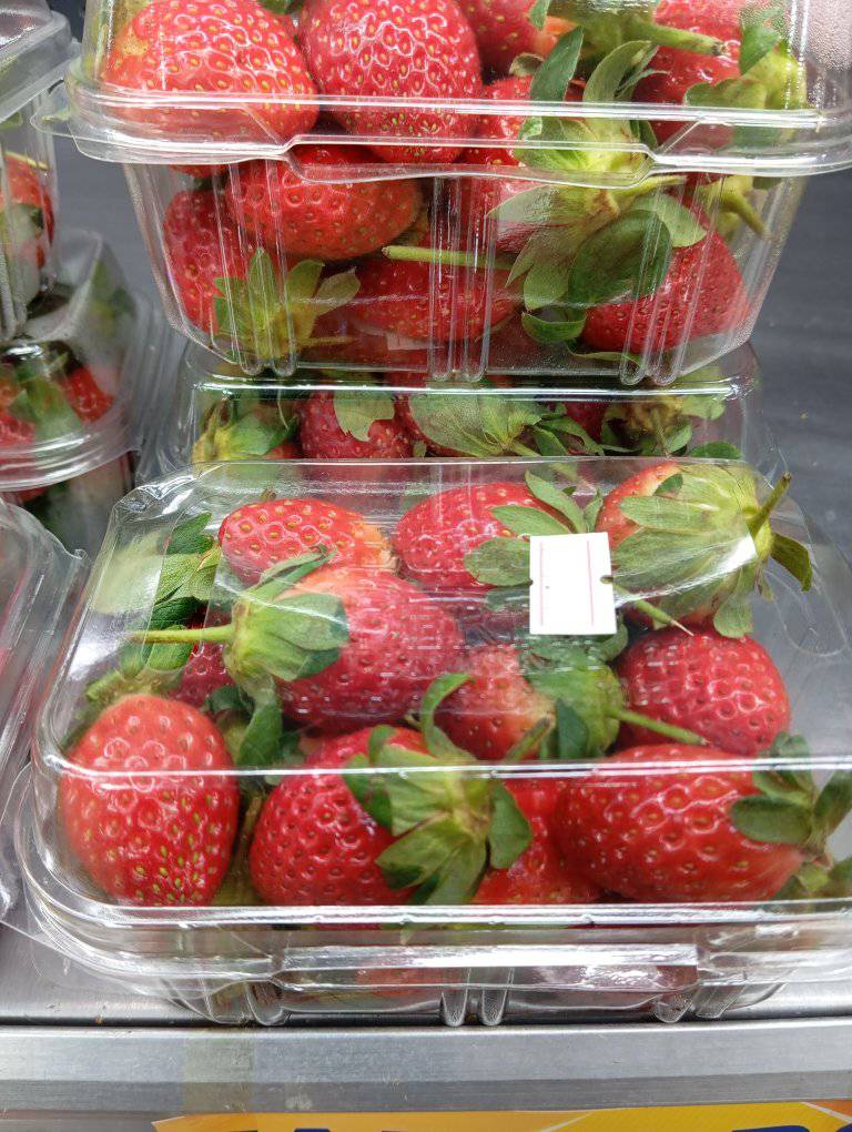 499577650_1040620788175592_2714743176002899540_n