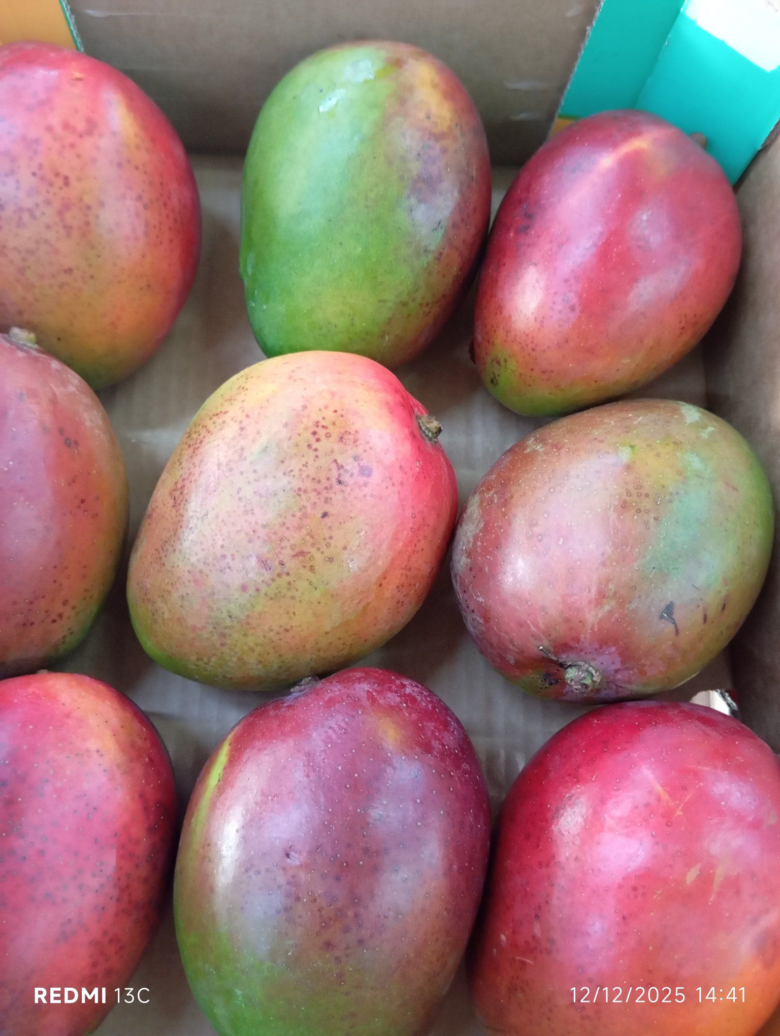 597864016_1192066673031002_5031630006294856095_n