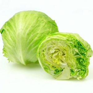 Lettuce iceberg