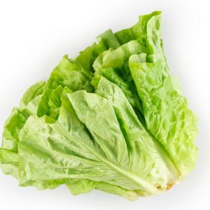 Cos lettuce