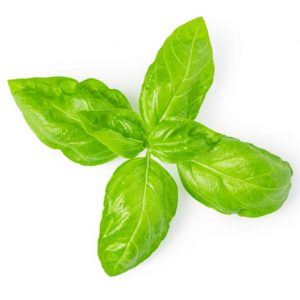 Basil/ pack